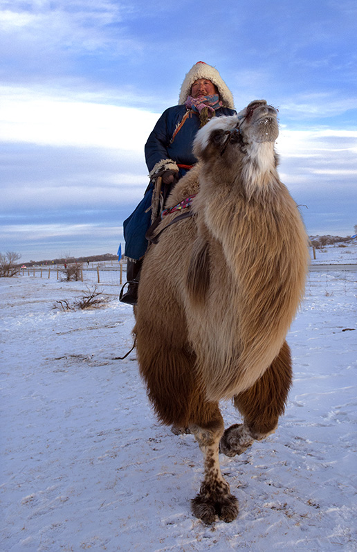 _LGA2435 ����.jpg