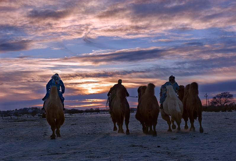 _LGA2531 ����.jpg