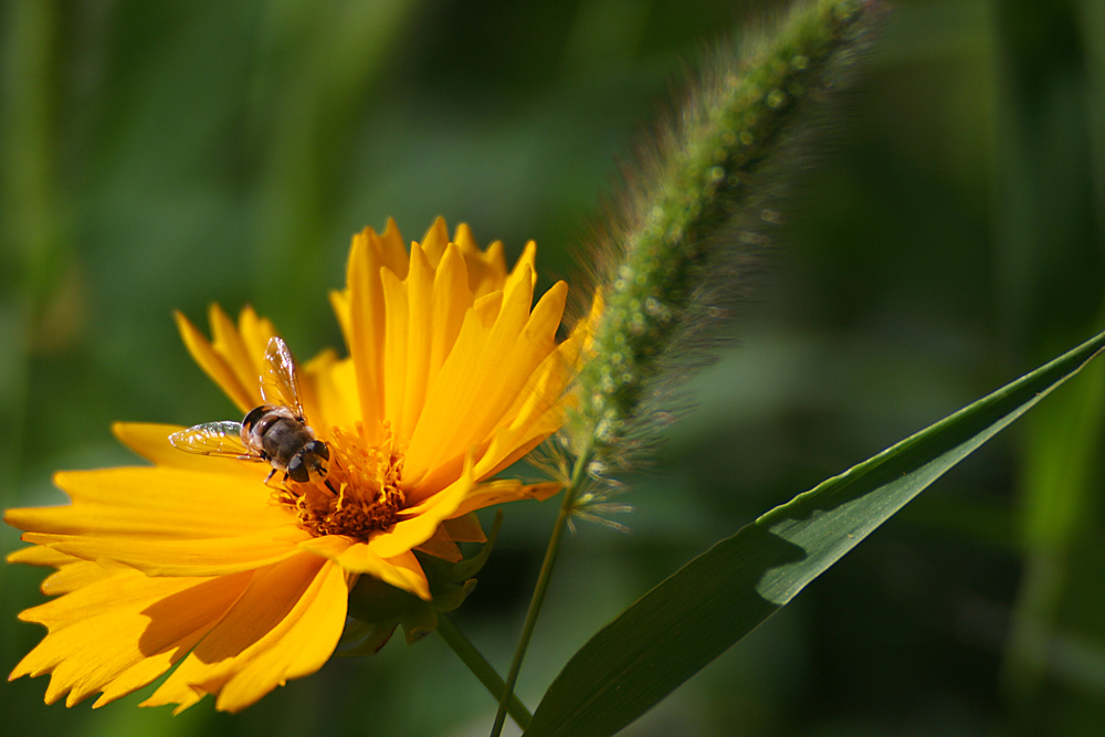 2014.7.7�� 003 (67)_��������.jpg