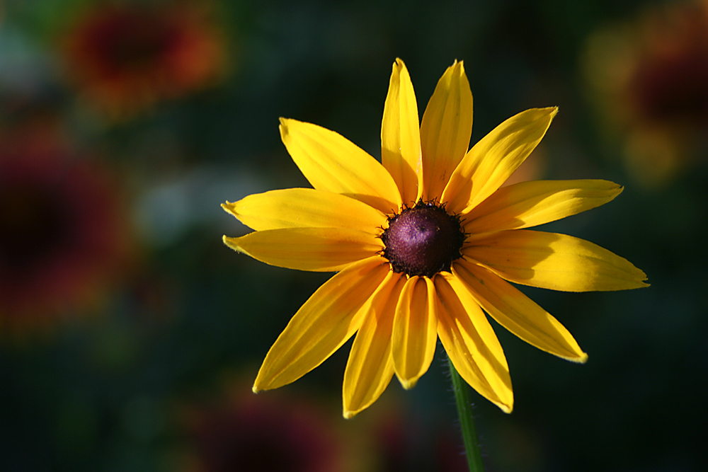 2014.7.7�� 003 (185)����.jpg