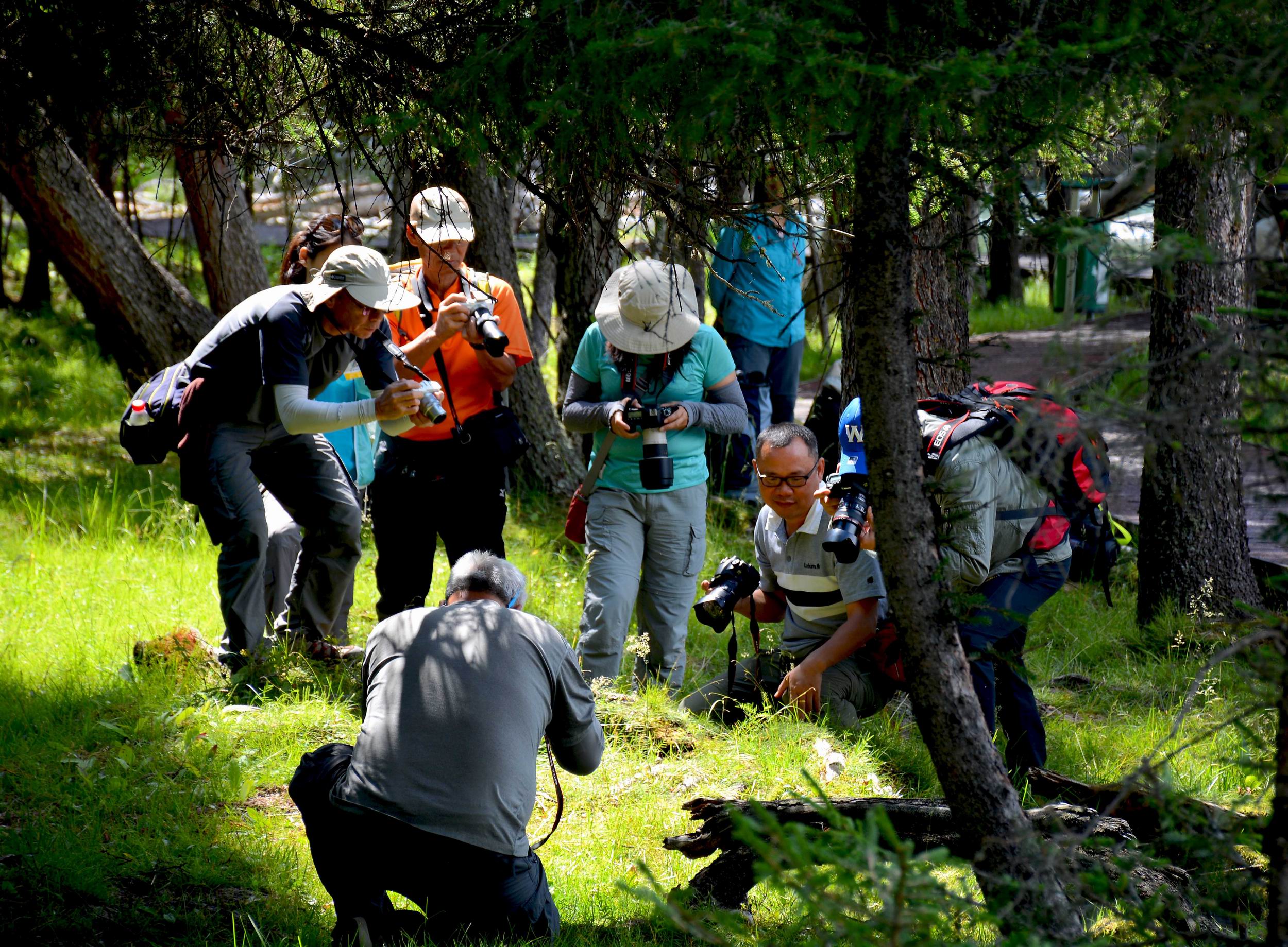 ������С DSC_1689.JPG