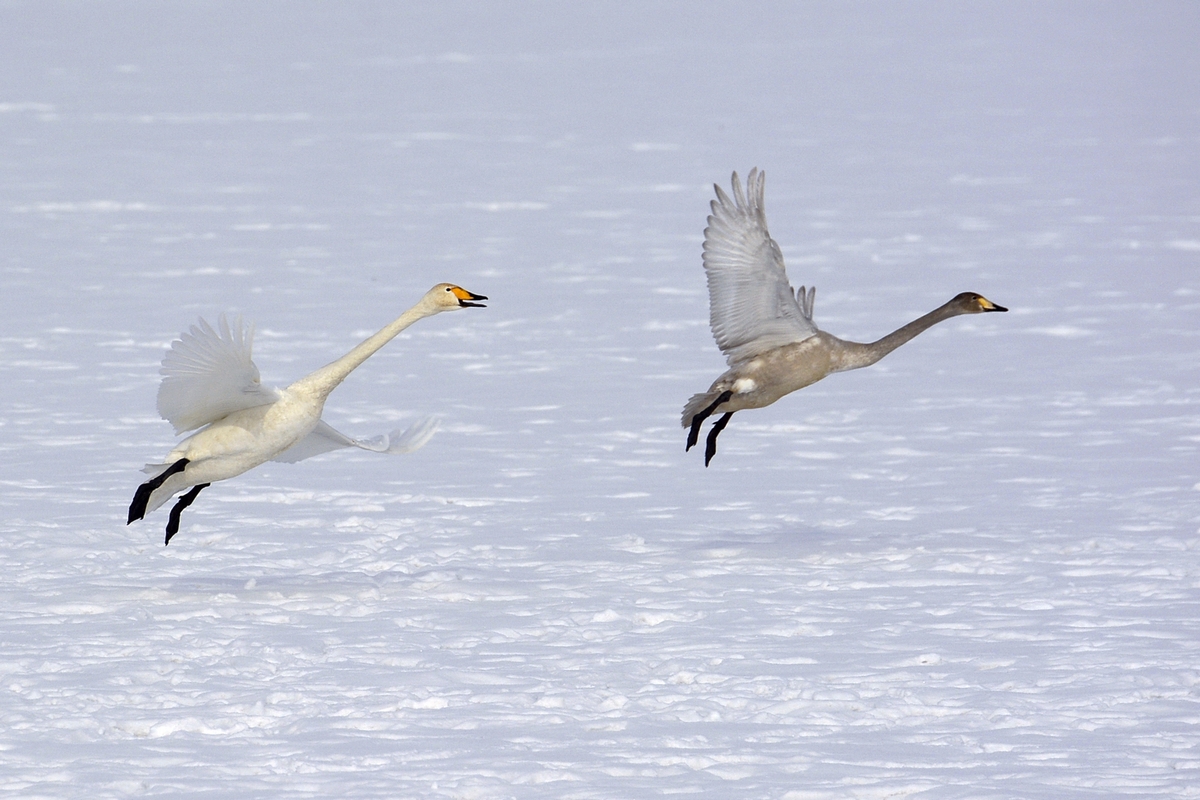 nEO_IMG_��� (3).jpg