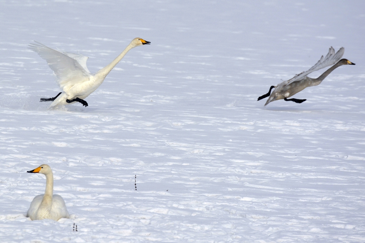 nEO_IMG_��� (4).jpg