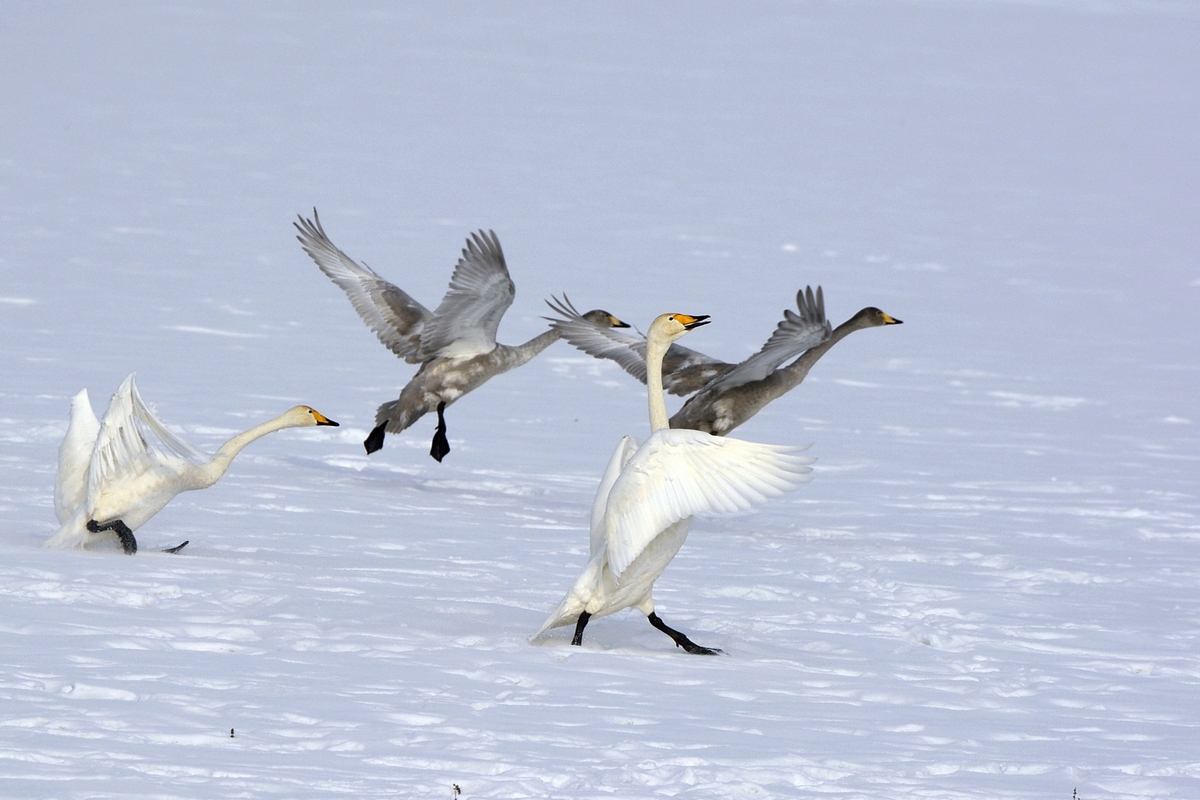 nEO_IMG_��� (5).jpg