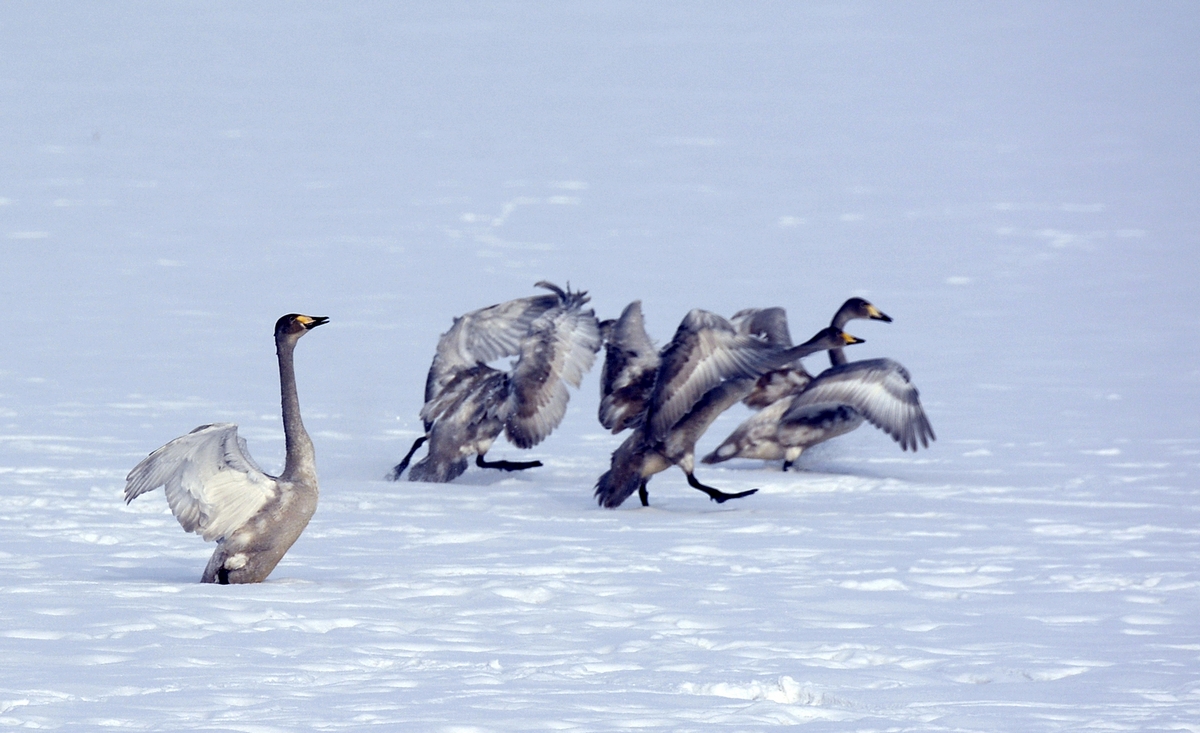 nEO_IMG_��� (6).jpg