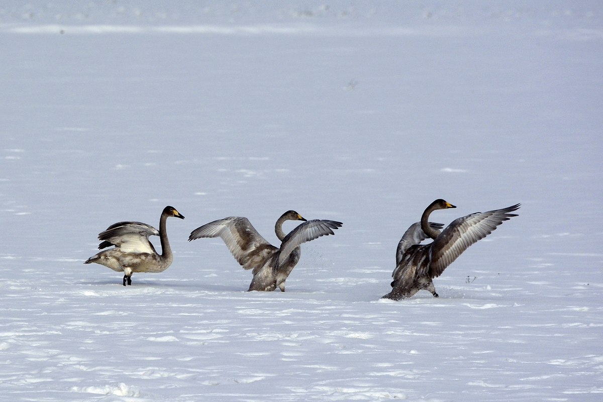 nEO_IMG_��� (7).jpg