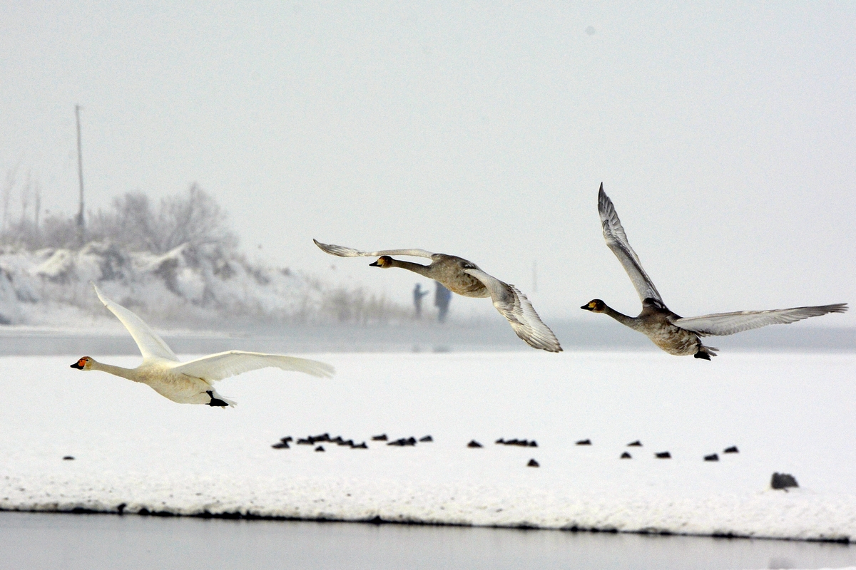 nEO_IMG_��� (10).jpg