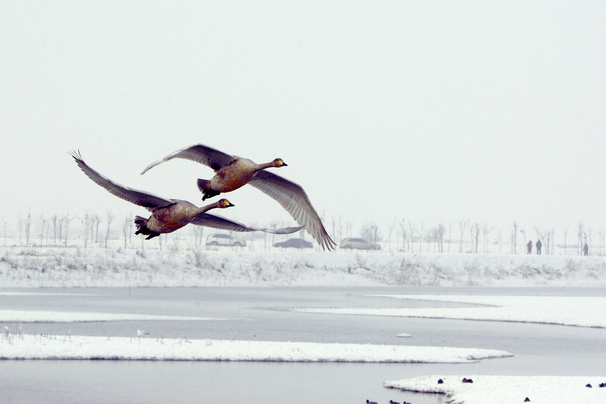 nEO_IMG_��� (11).jpg