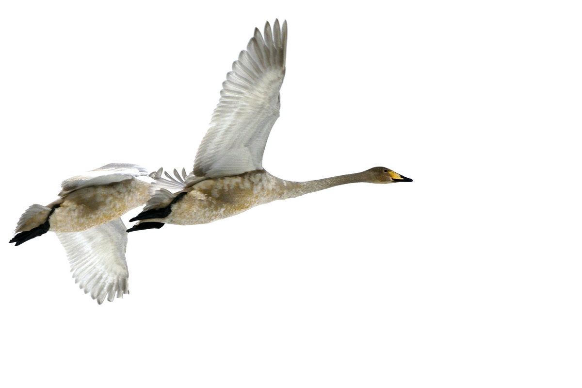 nEO_IMG_��� (13).jpg