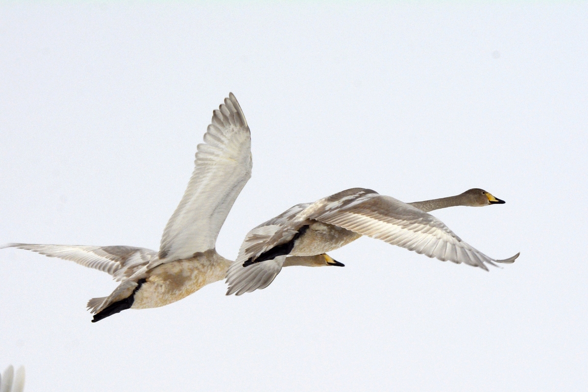 nEO_IMG_��� (14).jpg