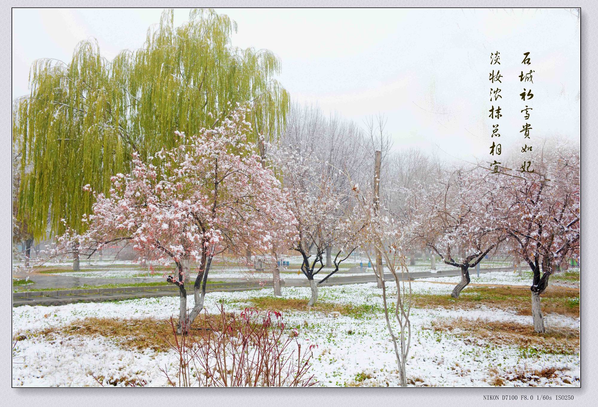 ������С ѩ.jpg