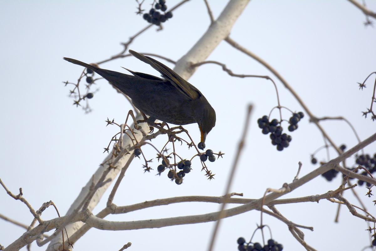 nEO_IMG_��� (2).jpg