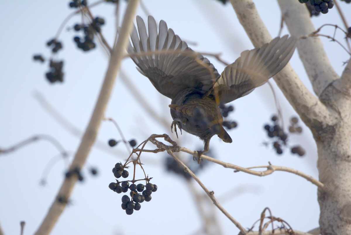 nEO_IMG_��� (3).jpg