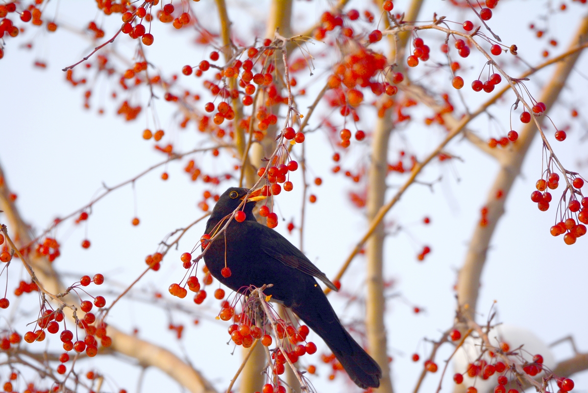 nEO_IMG_��� (8).jpg