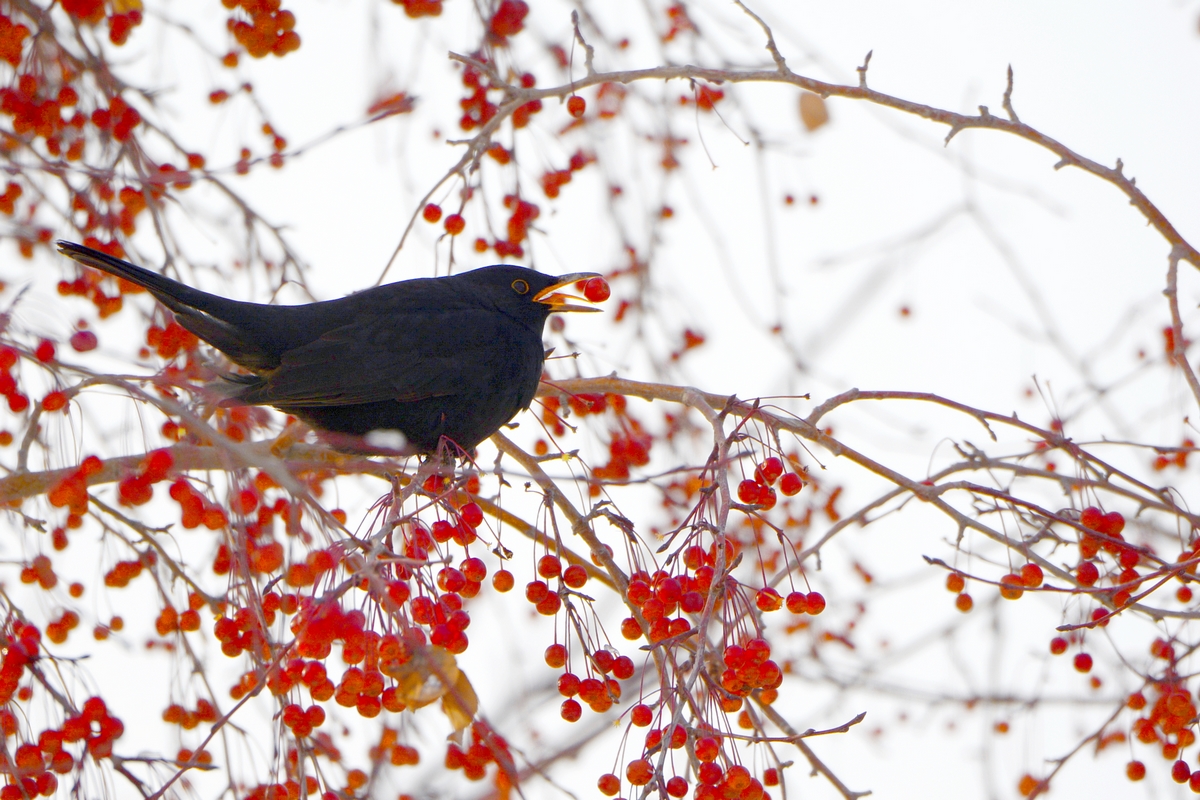 nEO_IMG_��� (9).jpg