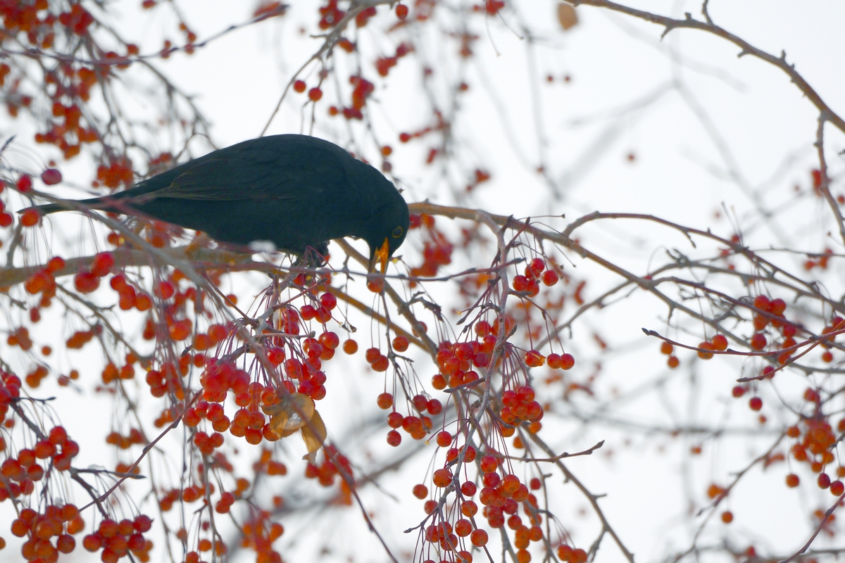 nEO_IMG_��� (12).jpg