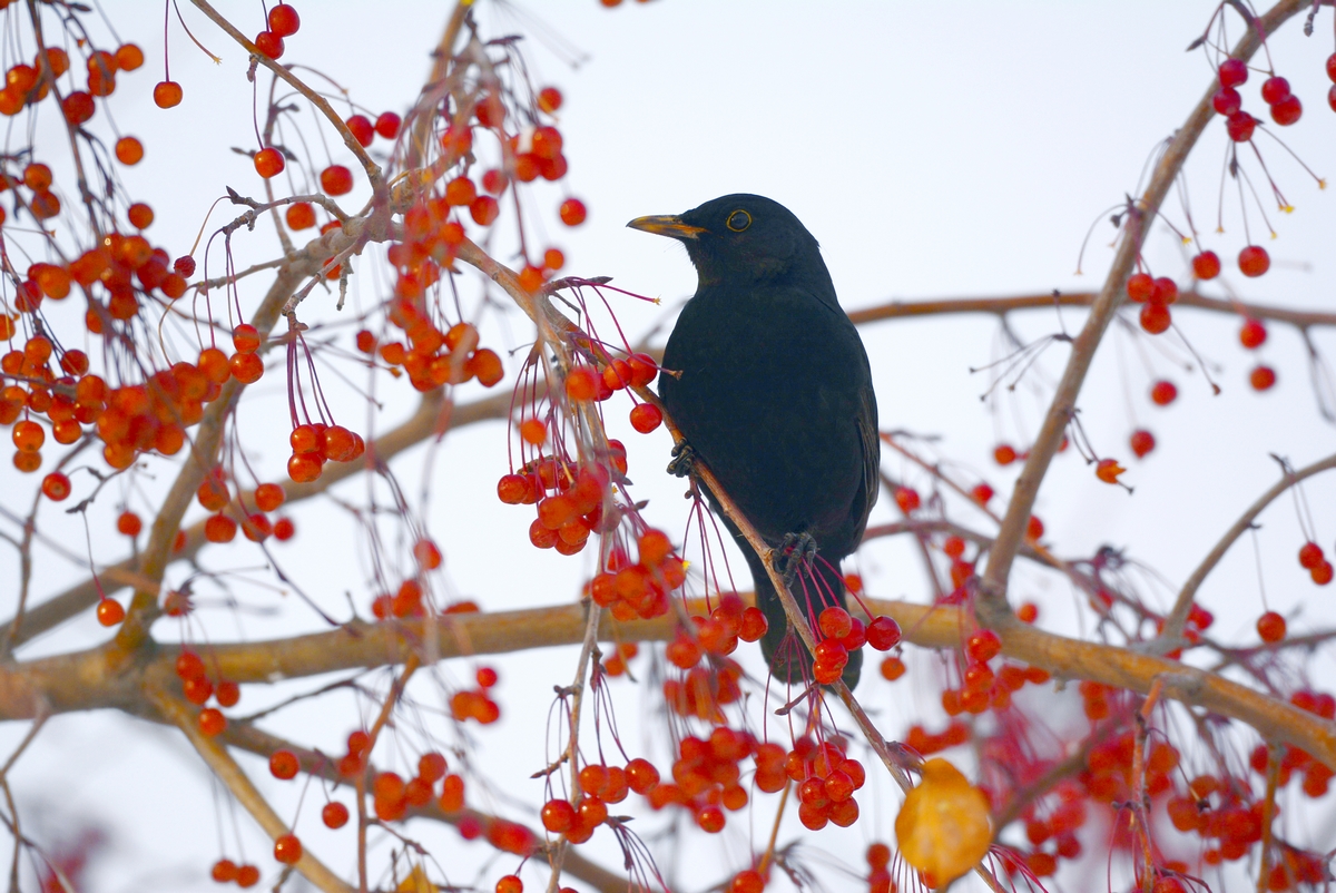 nEO_IMG_��� (1).jpg