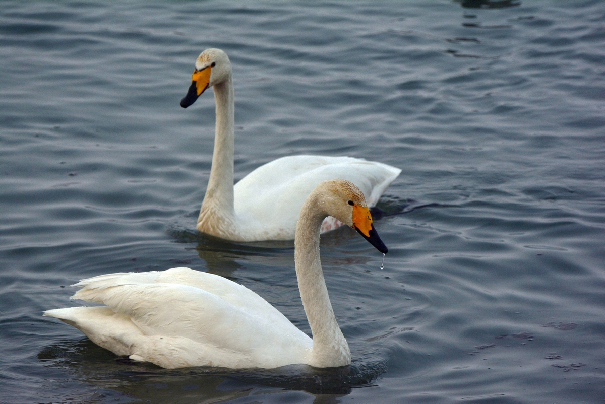 nEO_IMG_��� (24).jpg