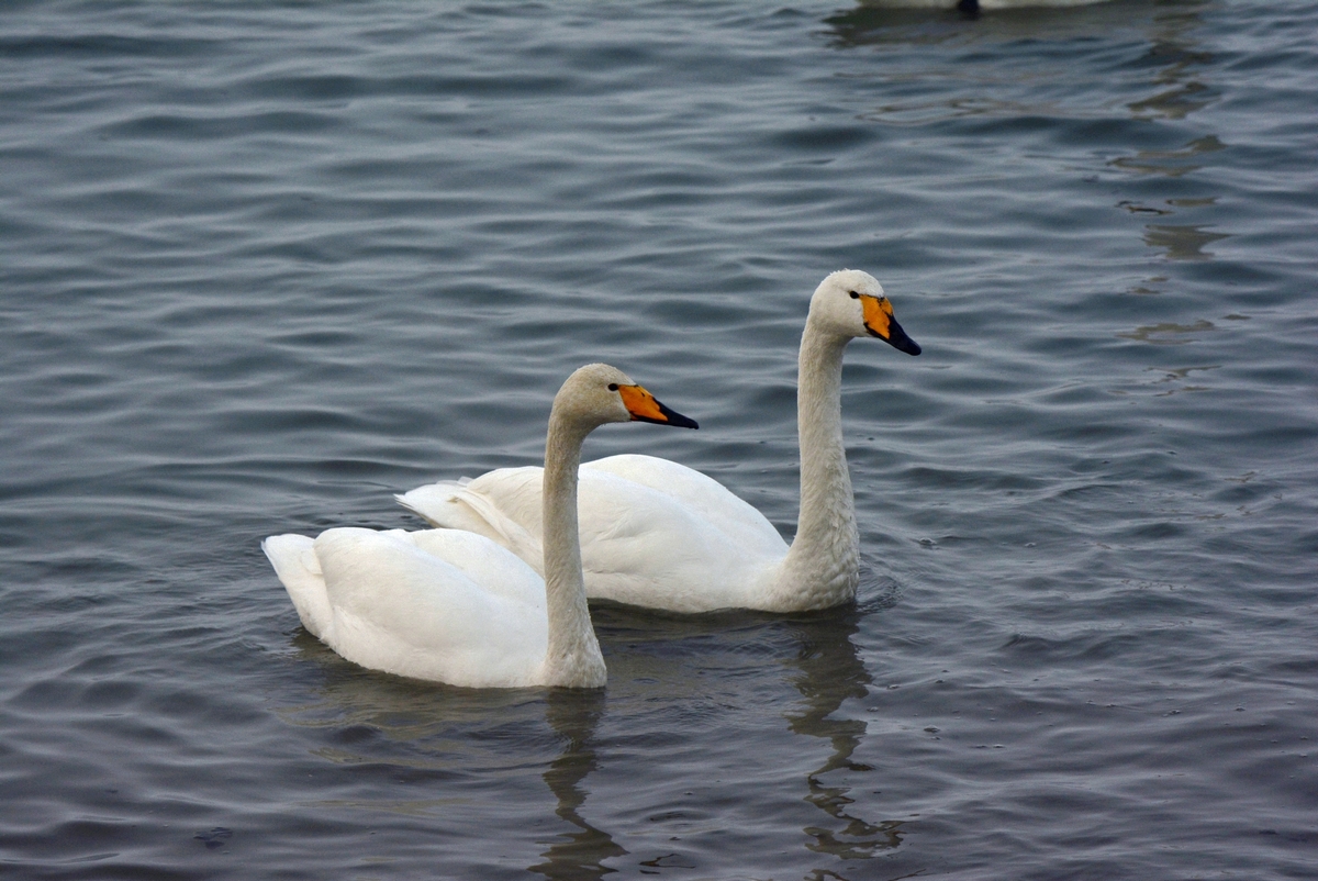 nEO_IMG_��� (26).jpg