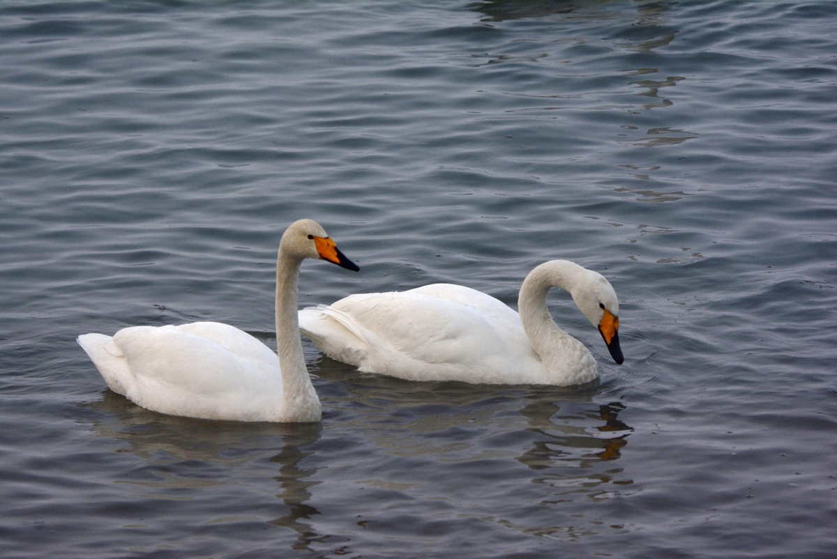 nEO_IMG_��� (27).jpg