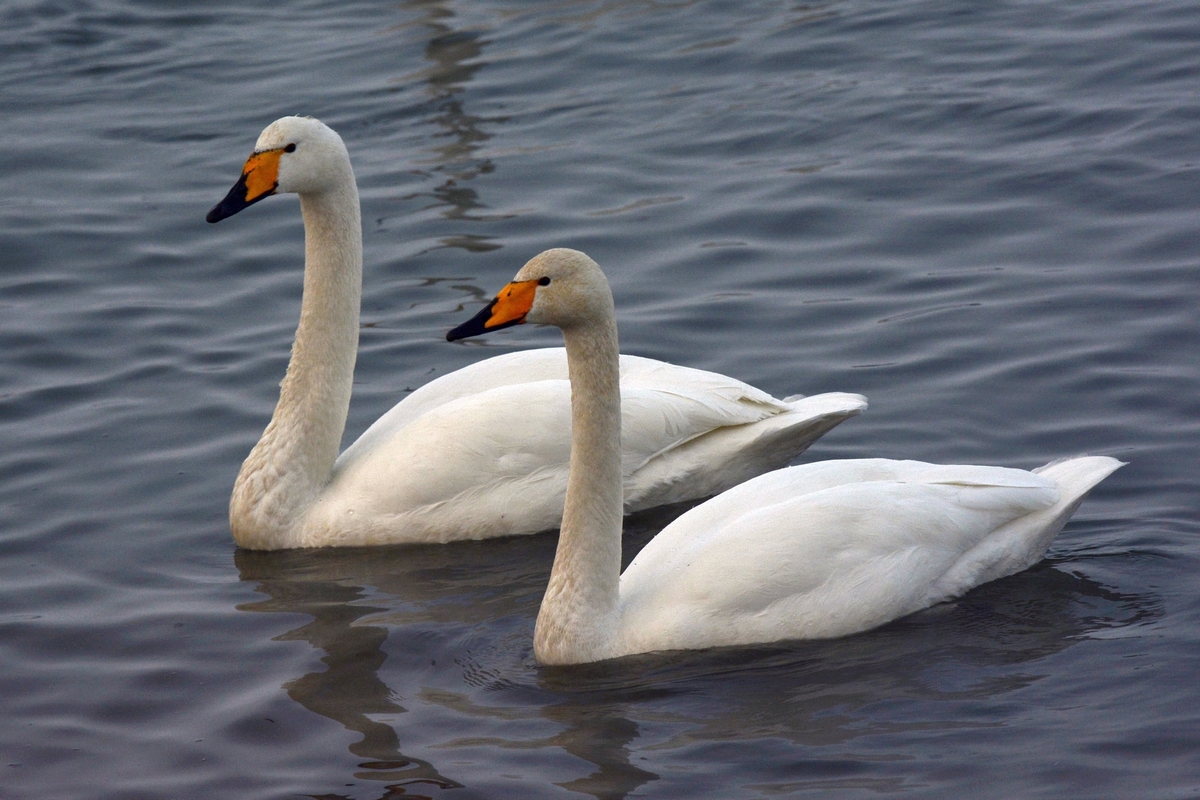 nEO_IMG_��� (28).jpg