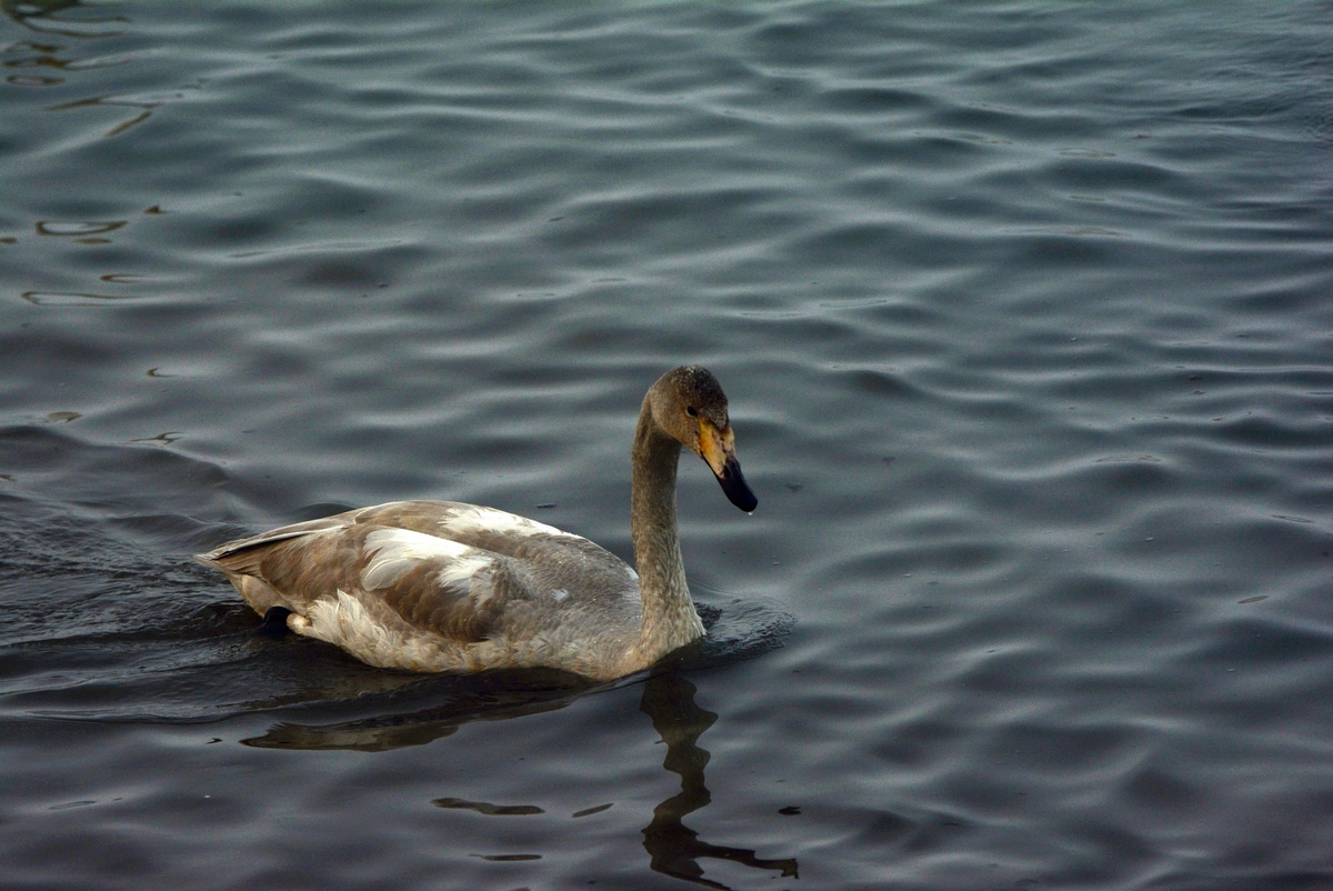 nEO_IMG_��� (30).jpg