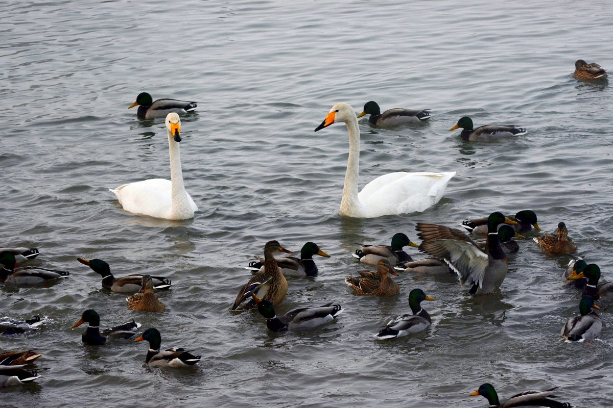 nEO_IMG_��� (33).jpg