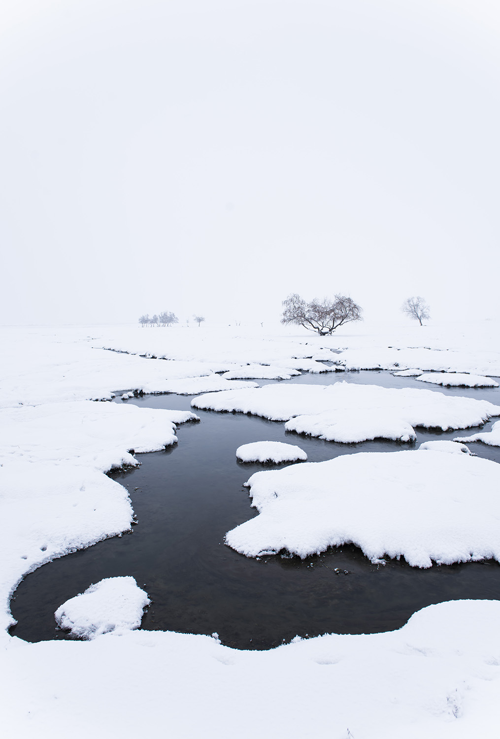 ����ʪ�أ��ӳ�����