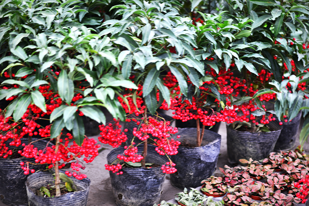 DSC_0435 - ����.JPG