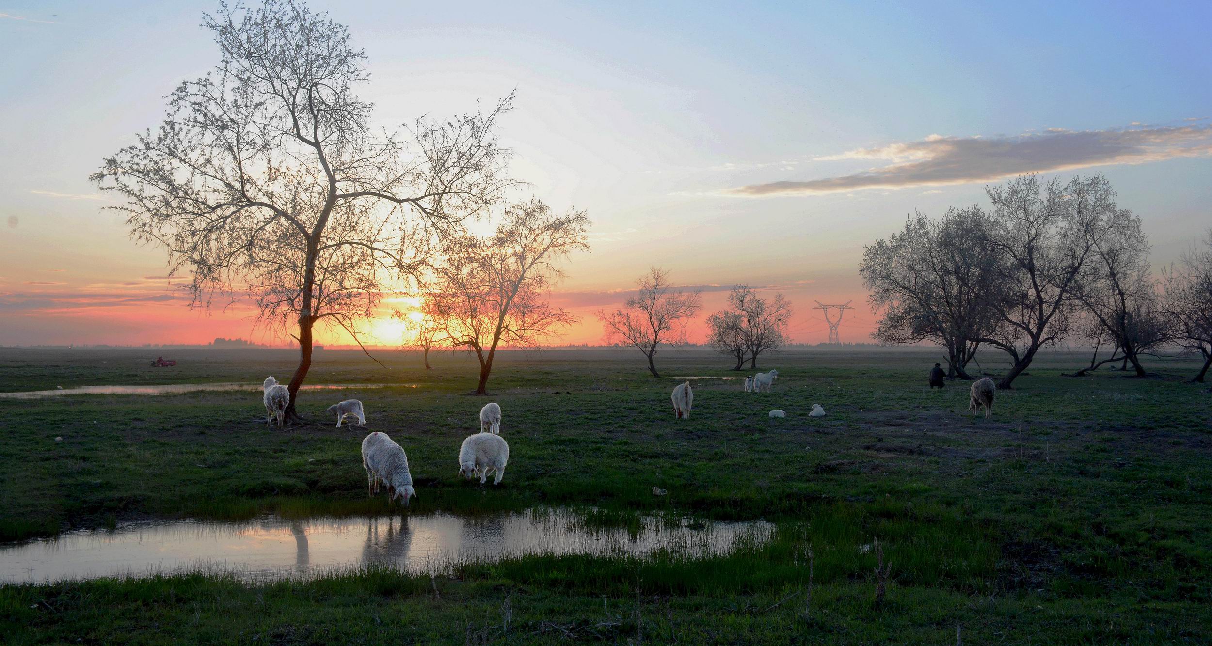 ������С DSC_2038_����.jpg