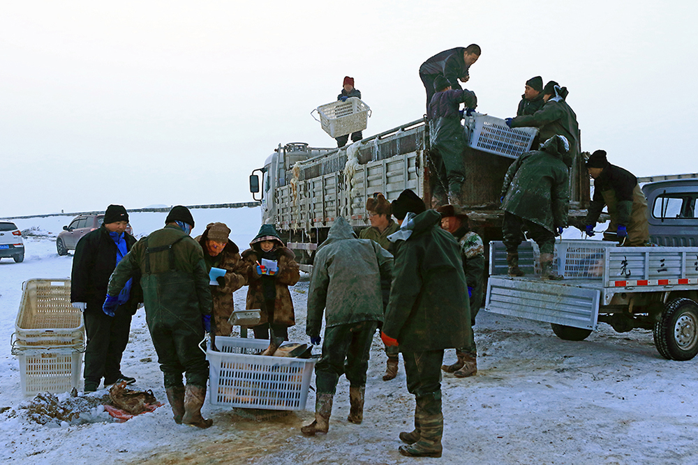 ���Ź�13899508168 (4).jpg