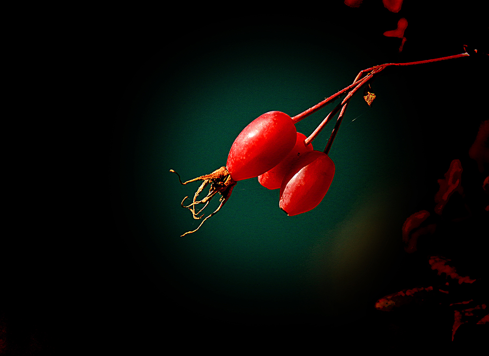 q(���) (1).jpg