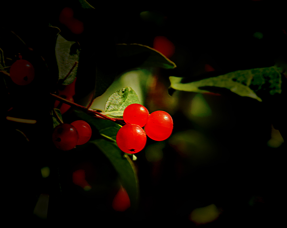 q(���) (2).jpg