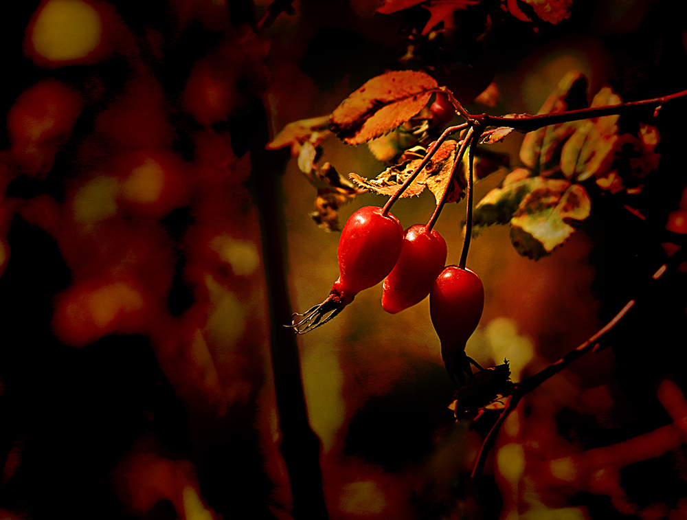 q(���) (6).jpg