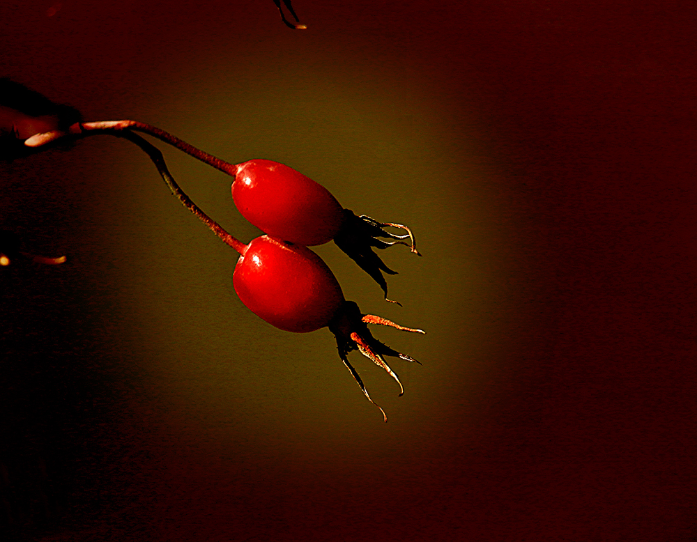 q(���) (7).jpg