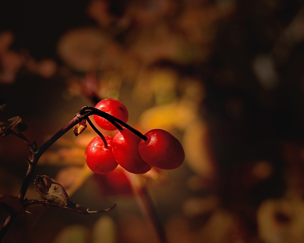 q(���) (8).jpg