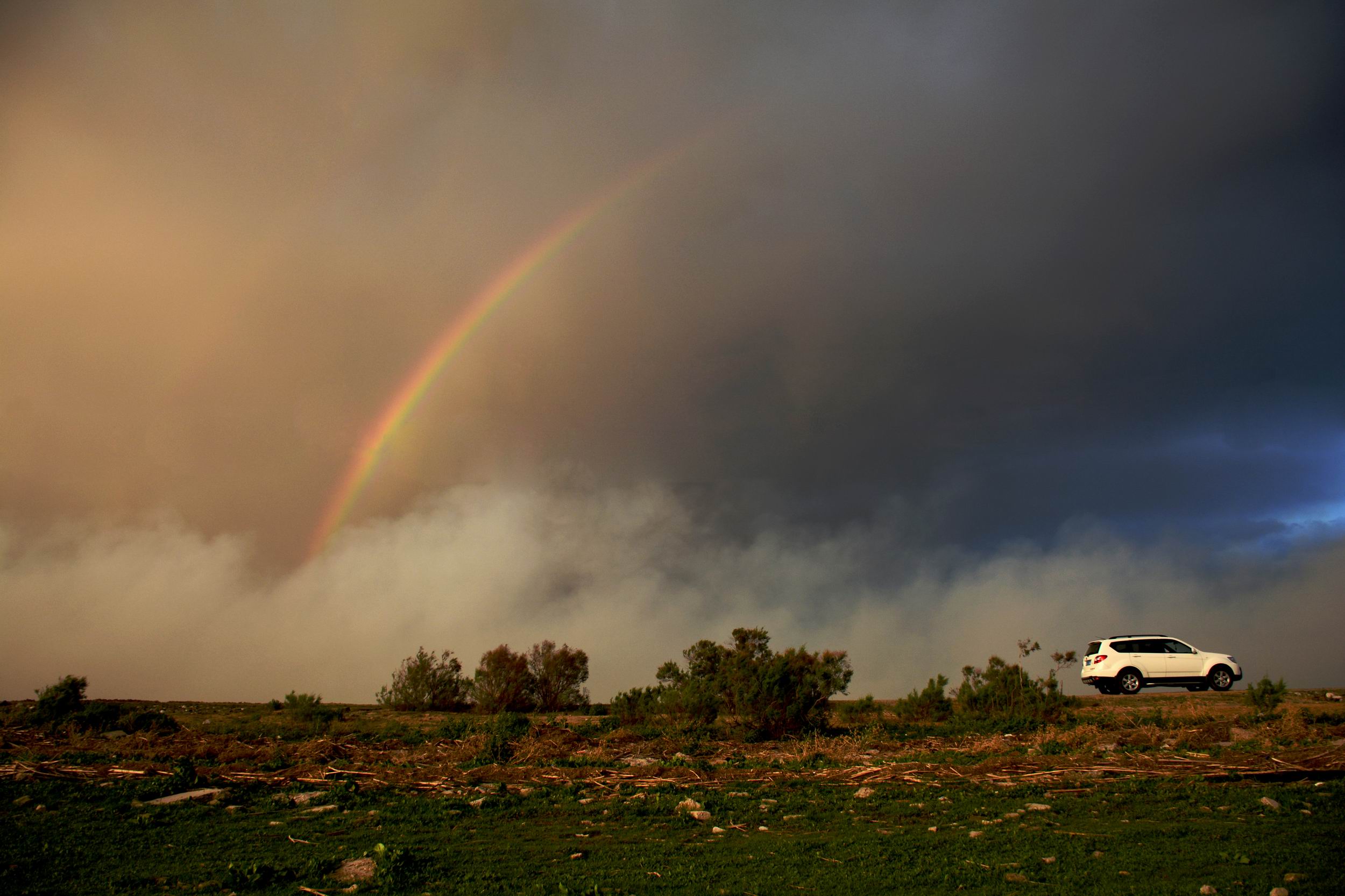 ������С DSC_60651_����.jpg