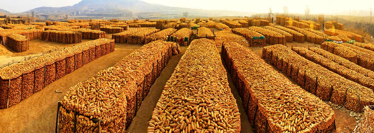 ���Ź� (28).jpg