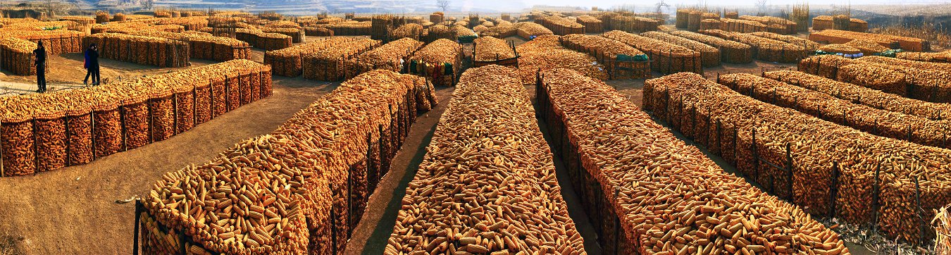 ���Ź� (3).jpg