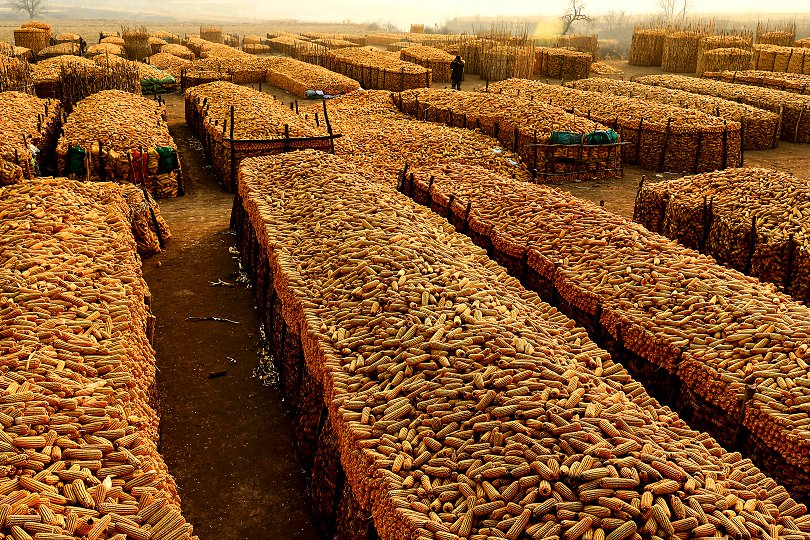 ���Ź� (8).jpg