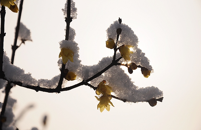 ��÷�� (2).JPG