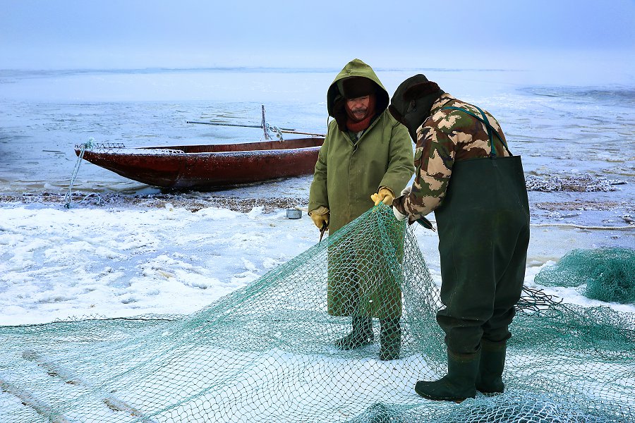 ���� (18).jpg