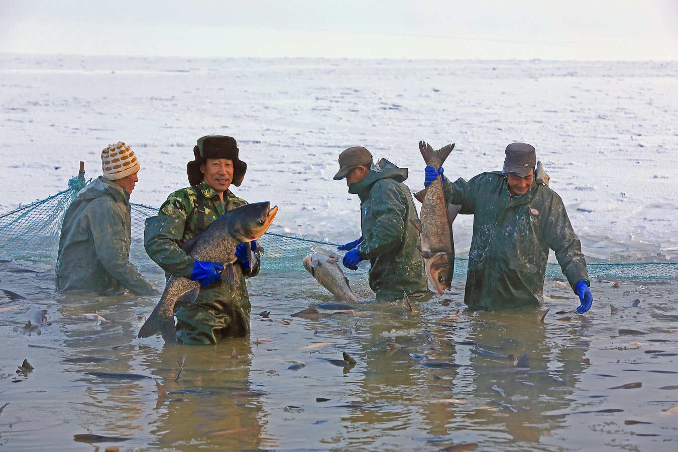 ���� (2).jpg