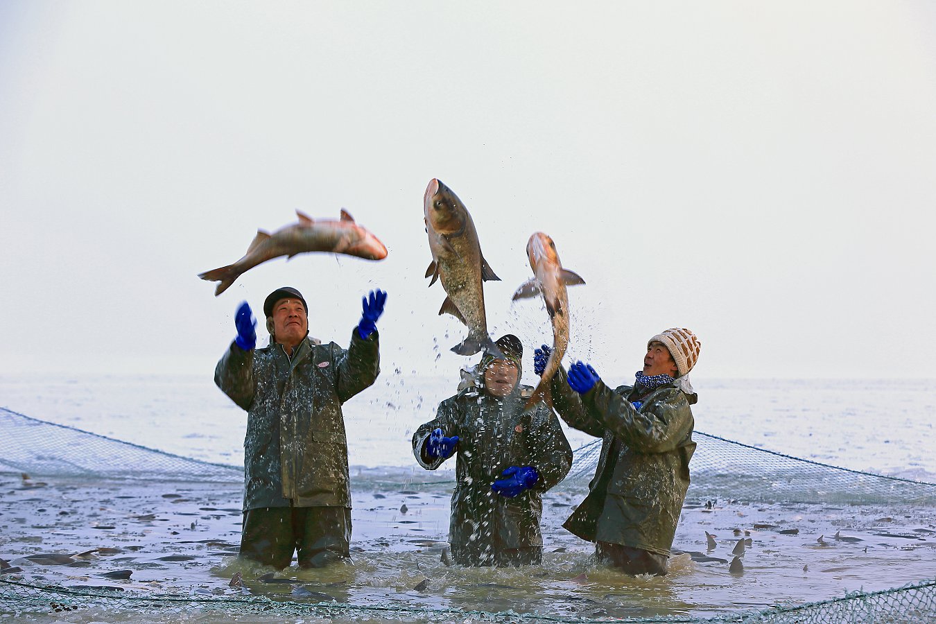 ���� (6).jpg