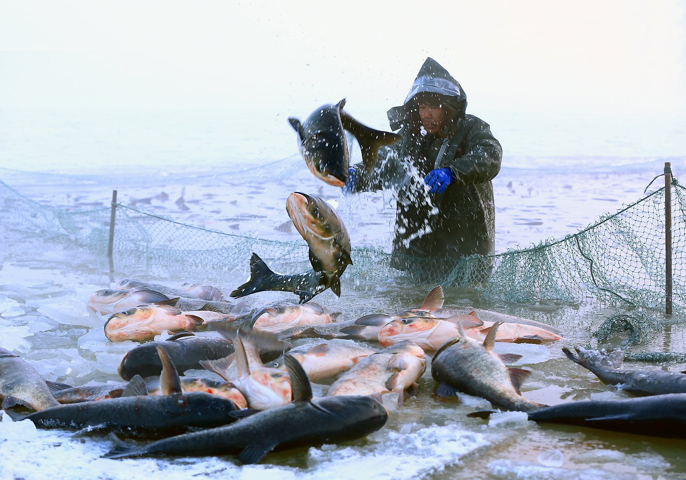 ���� (7).jpg