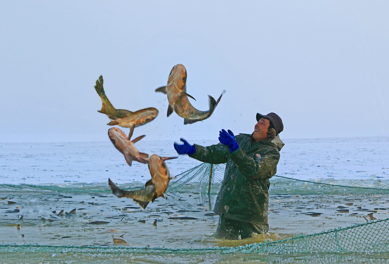 ���� (11).jpg