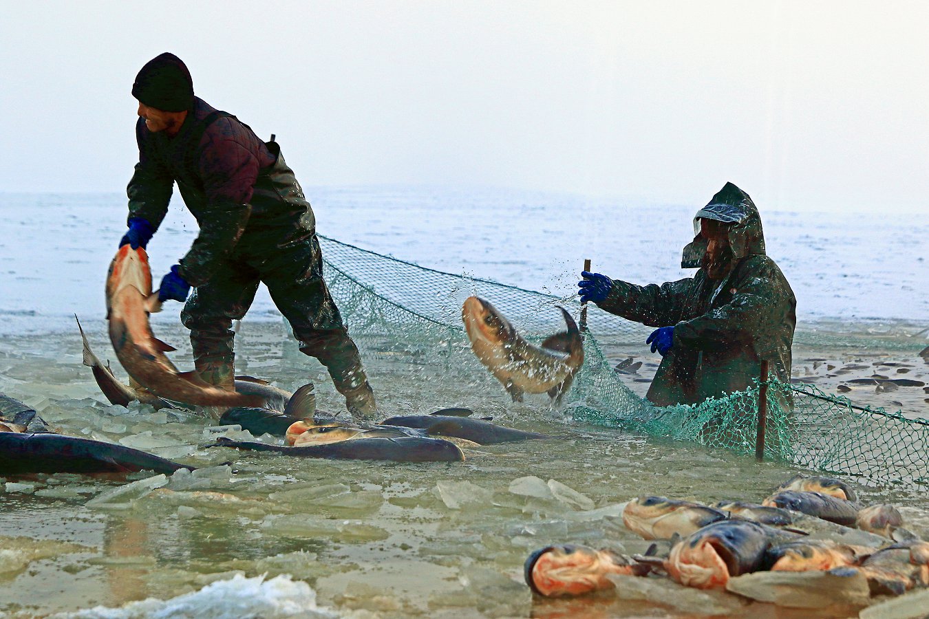 ���� (12).jpg