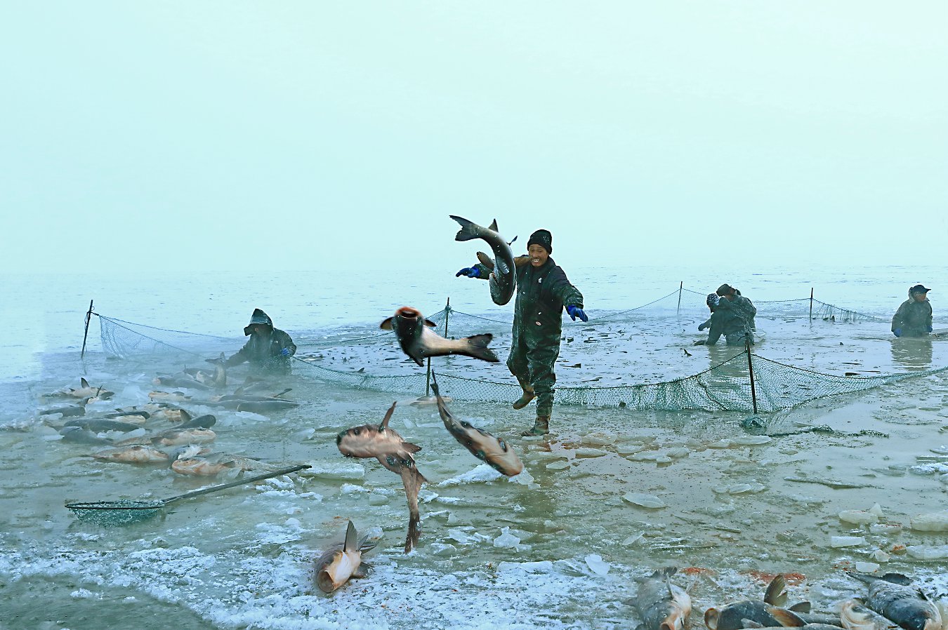 ���� (13).jpg