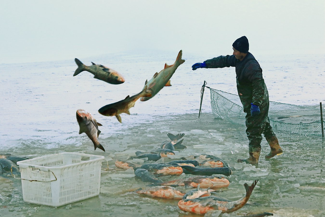 ���� (15).jpg