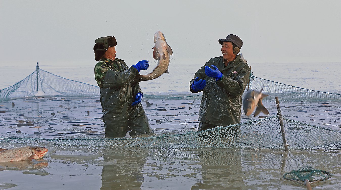 ���� (16).jpg